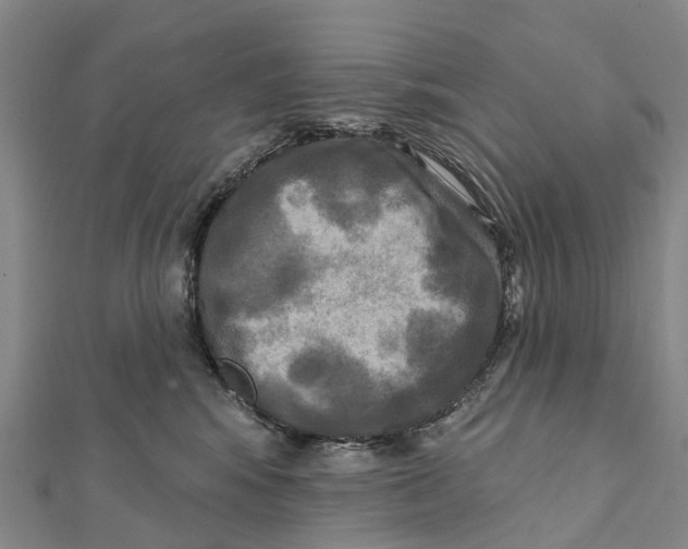 X0000112100424200909011128