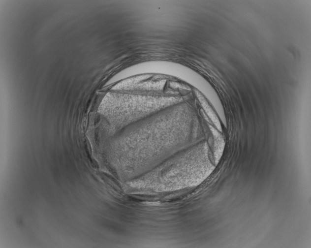 X0000112100425200909011128