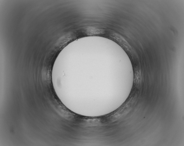 X0000112100426200909011128