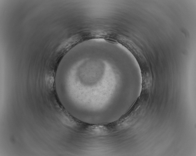 X0000112100427200909011128