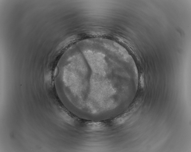 X0000112100428200909011128