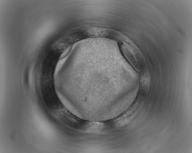 X0000112100429200909011128