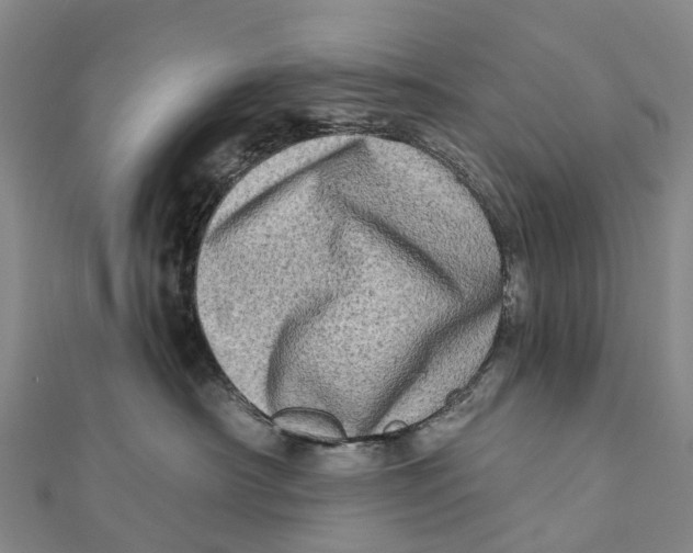X0000112100430200909011128