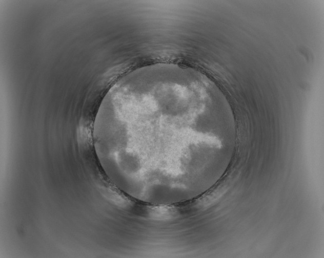 X0000112100432200909011128