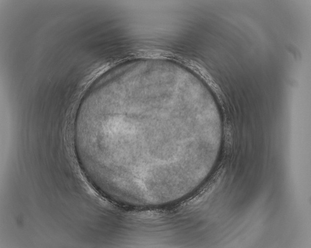X0000112100433200909011127