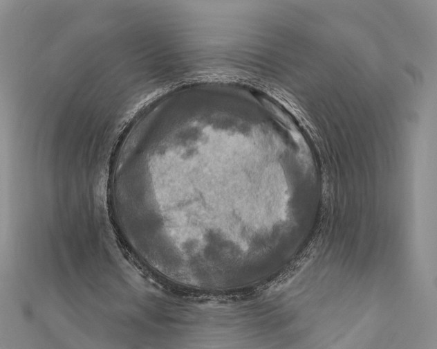 X0000112100434200909011128