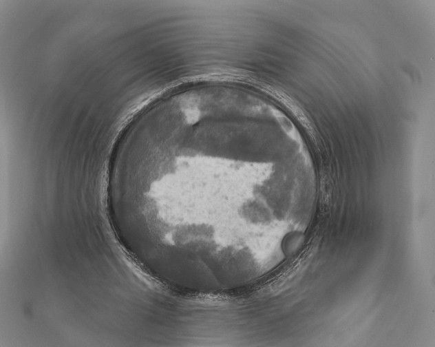 X0000112100437200909011128