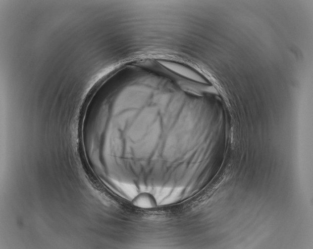 X0000112100438200909011128