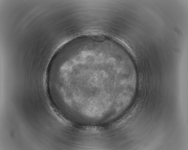 X0000112100439200909011128
