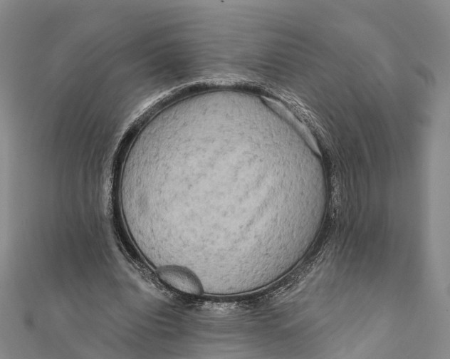 X0000112100440200909011128