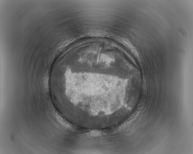 X0000112100441200909011128