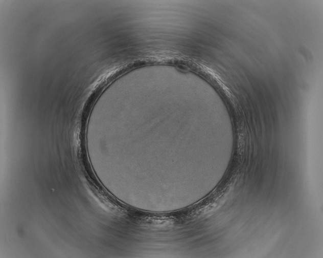 X0000112100443200909011128