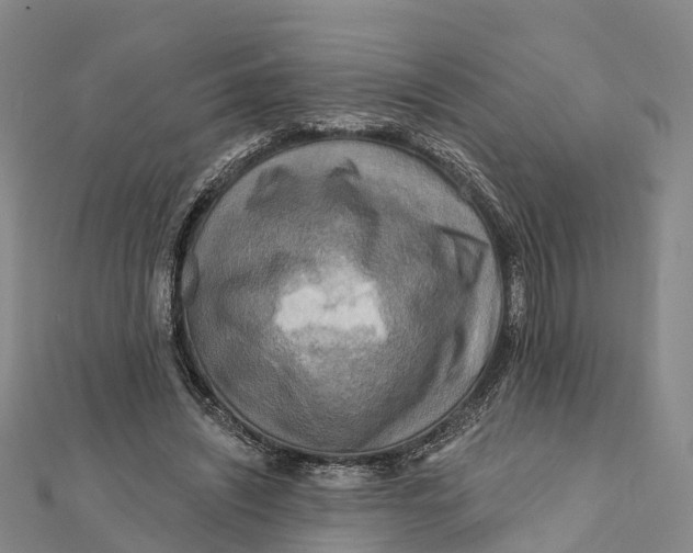 X0000112100444200909011128