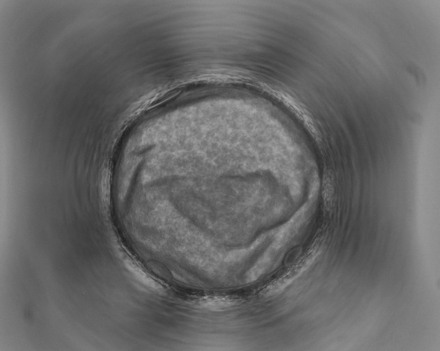 X0000112100445200909011128