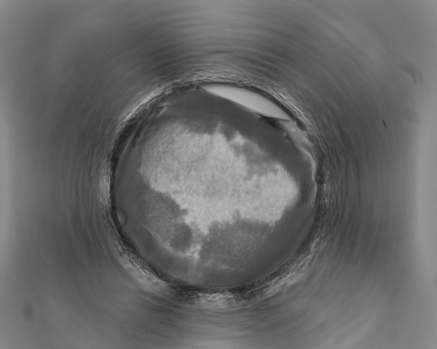 X0000112100446200909011128