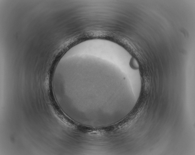 X0000112100447200909011128