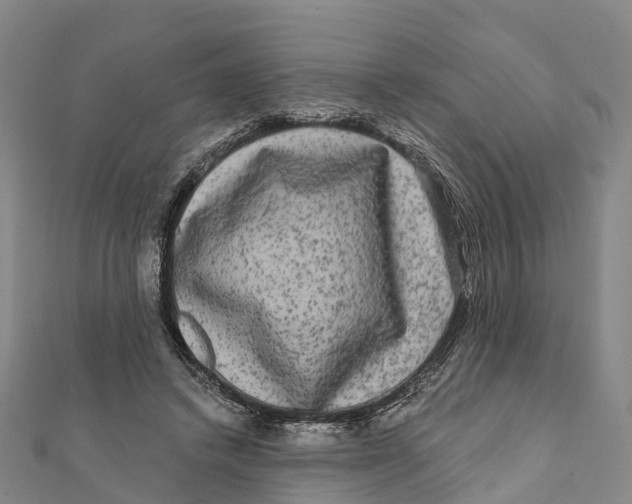 X0000112100448200909011128
