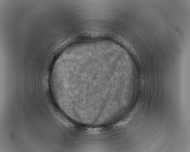 X0000112100450200909011128
