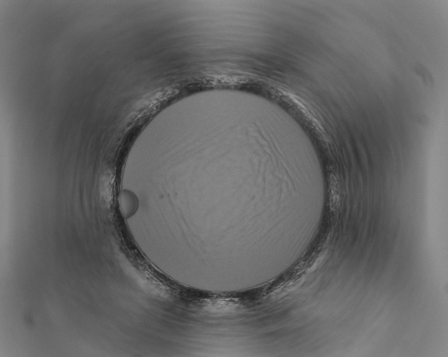 X0000112100451200909011128