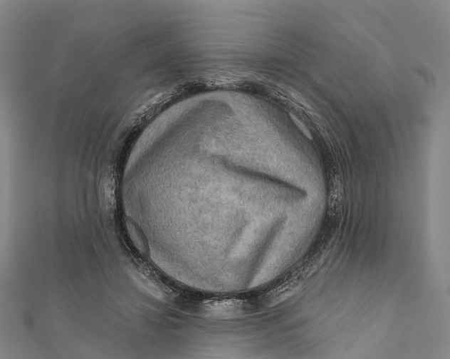 X0000112100452200909011128