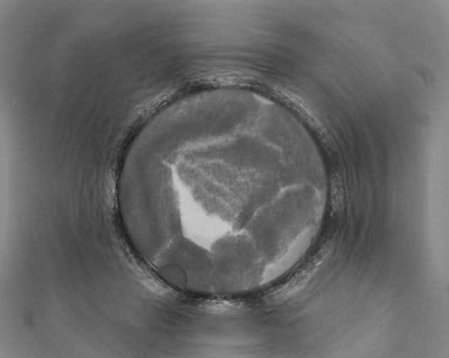 X0000112100453200909011128