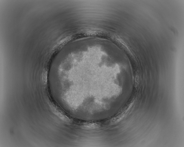 X0000112100454200909011128
