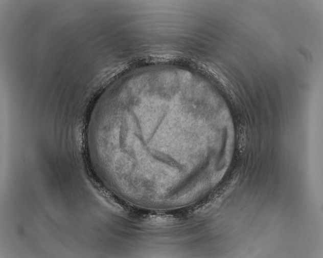 X0000112100455200909011128