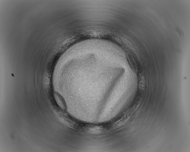 X0000112100456200909011128