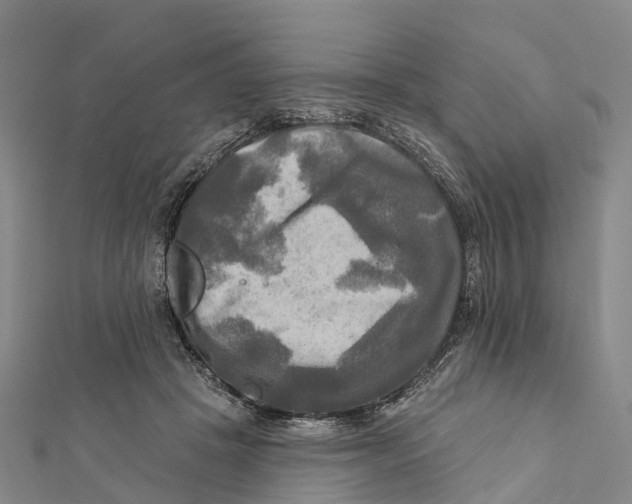 X0000112100457200909011128
