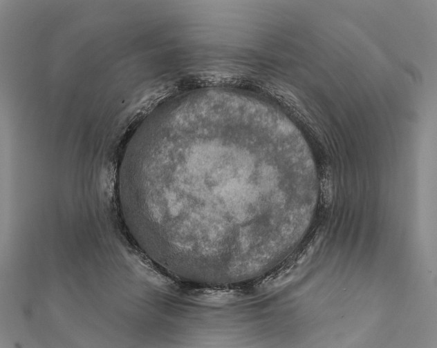 X0000112100458200909011128
