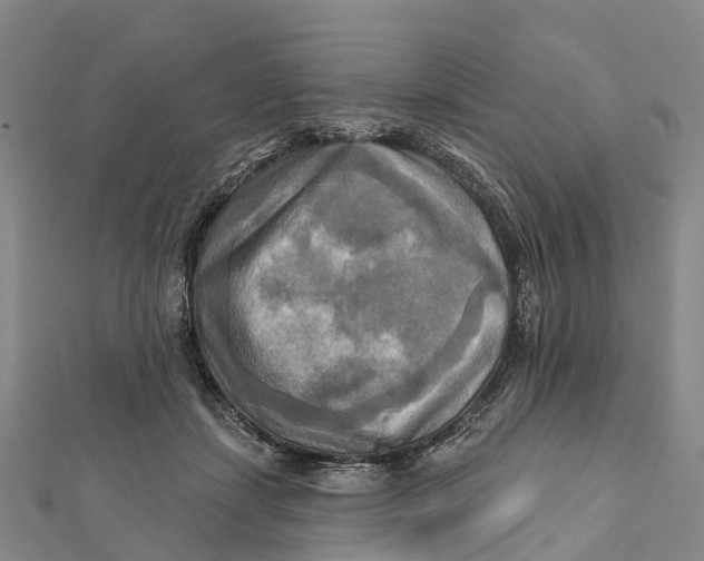 X0000112100459200909011128