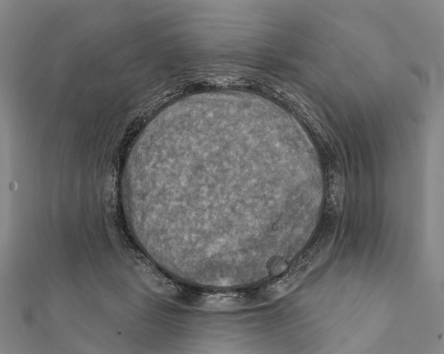 X0000112100461200909011128