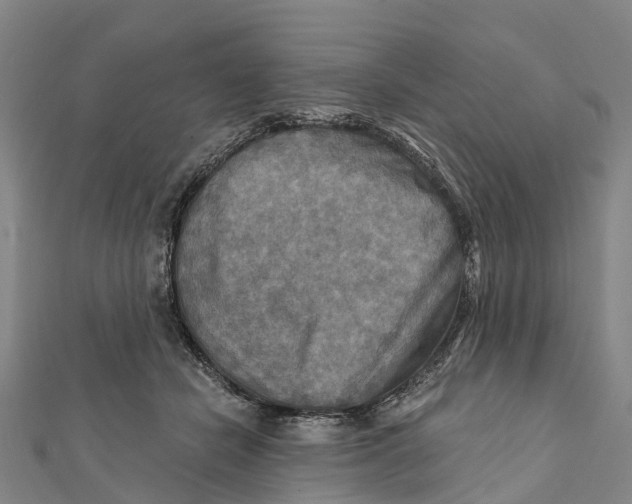X0000112100462200909011128