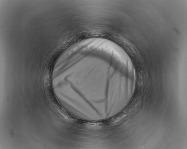 X0000112100465200909011128