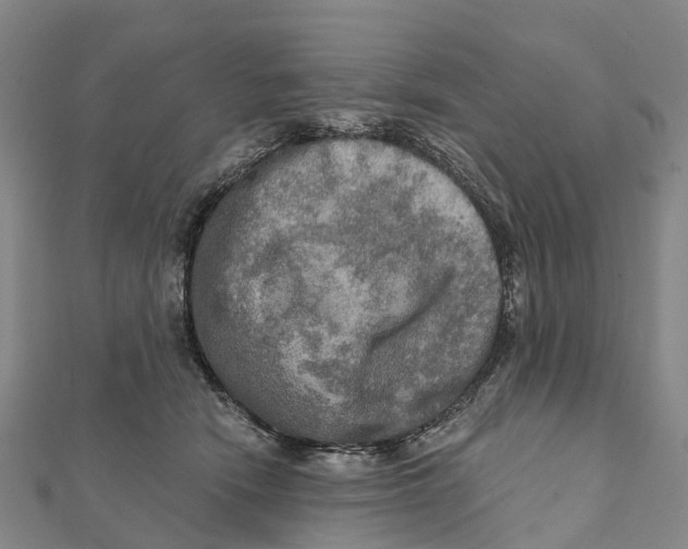 X0000112100466200909011128