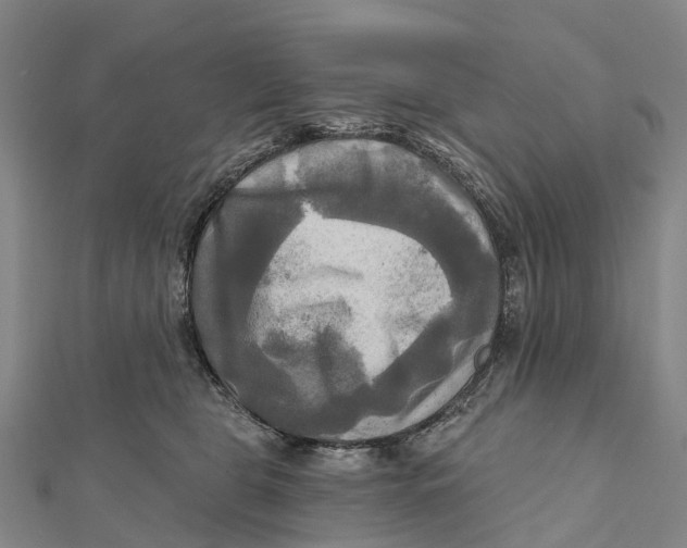 X0000112100469200909011128