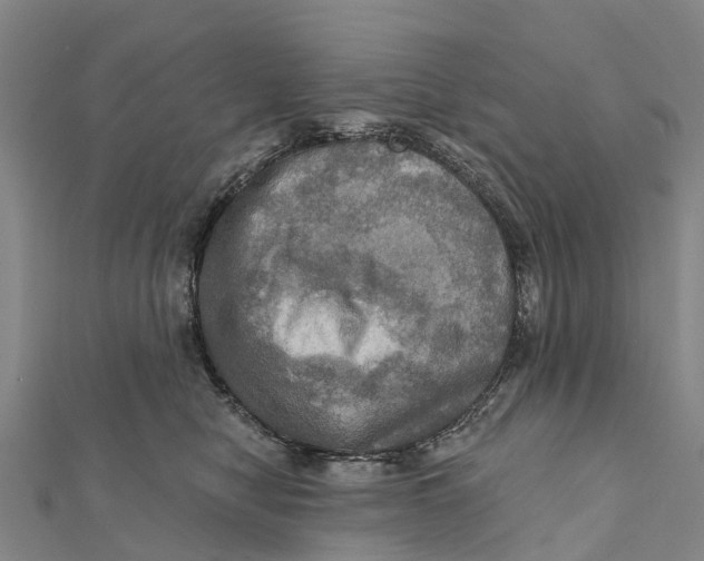 X0000112100470200909011128