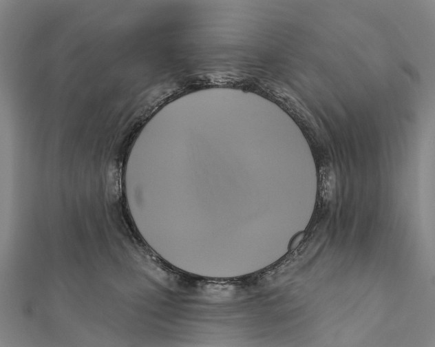 X0000112100471200909011128