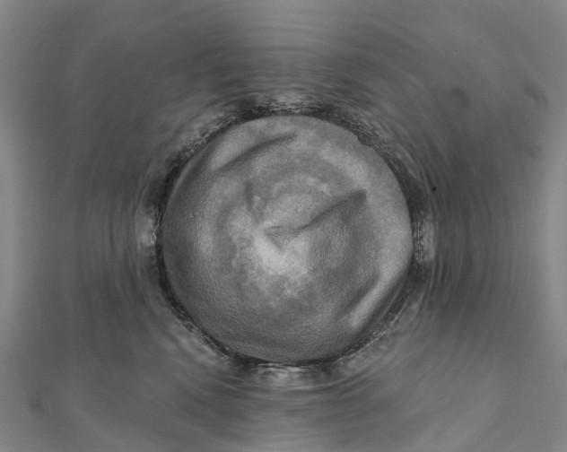 X0000112100472200909011128