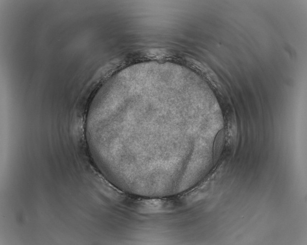 X0000112100473200909011128