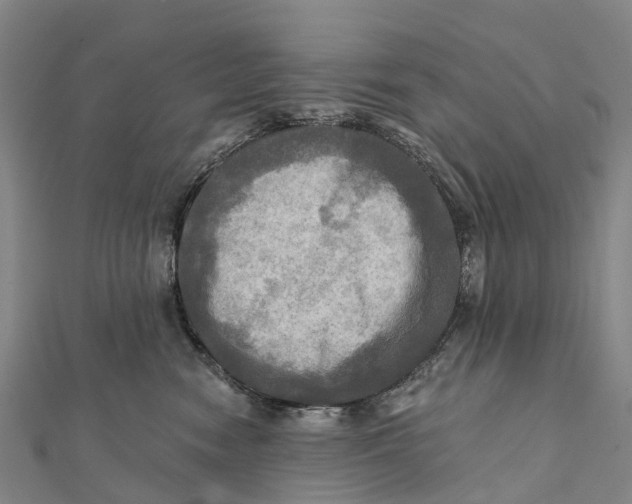 X0000112100474200909011128