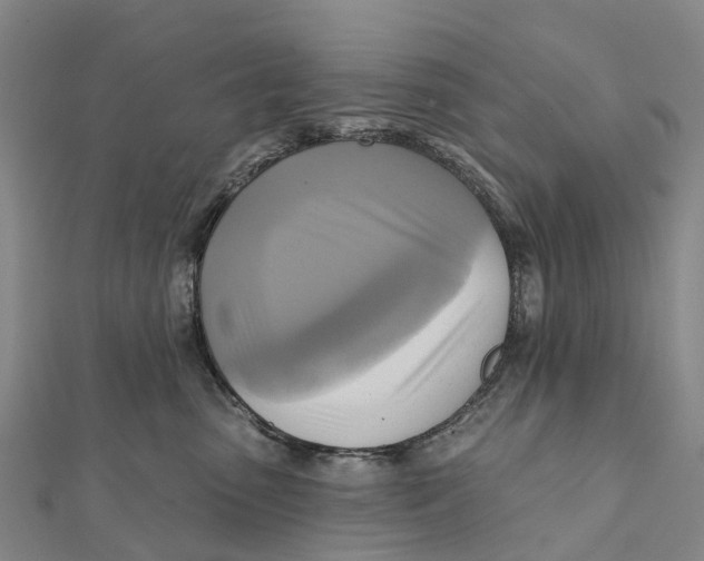 X0000112100475200909011128