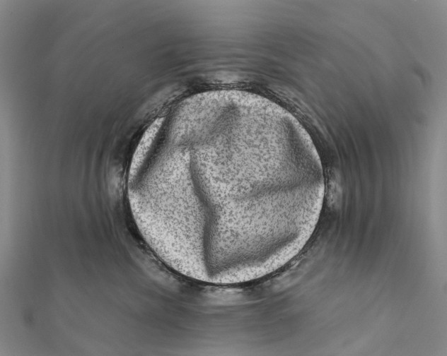 X0000112100476200909011128