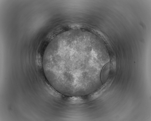 X0000112100477200909011128