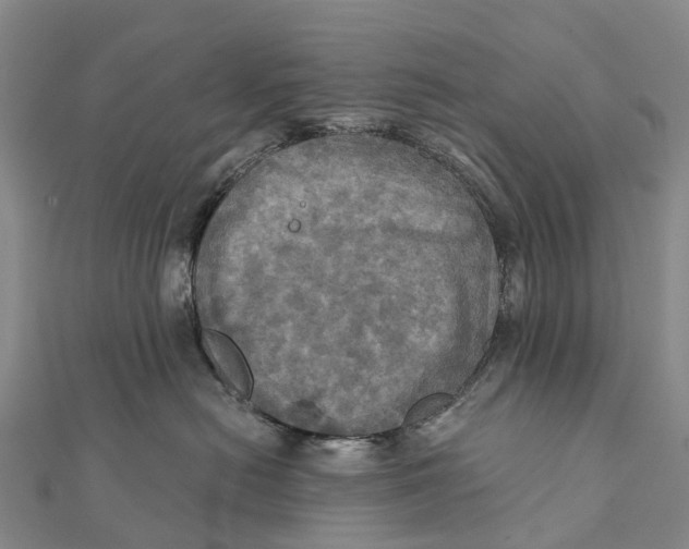 X0000112100478200909011128