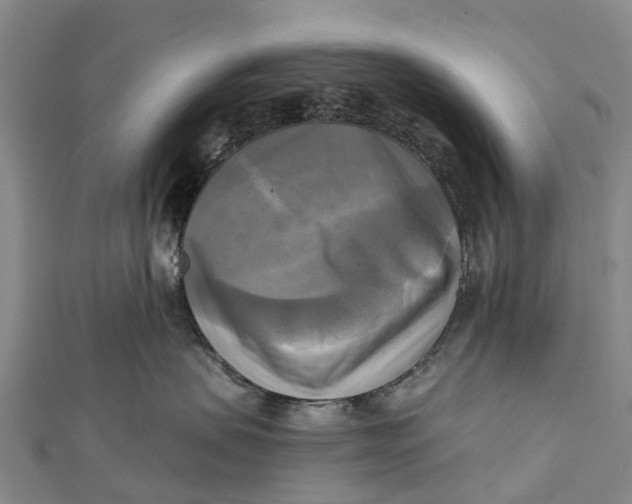 X0000112100479200909011128