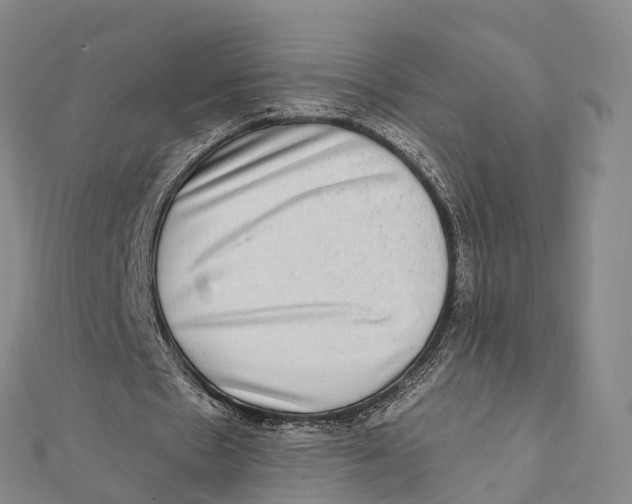 X0000112100481200909011127