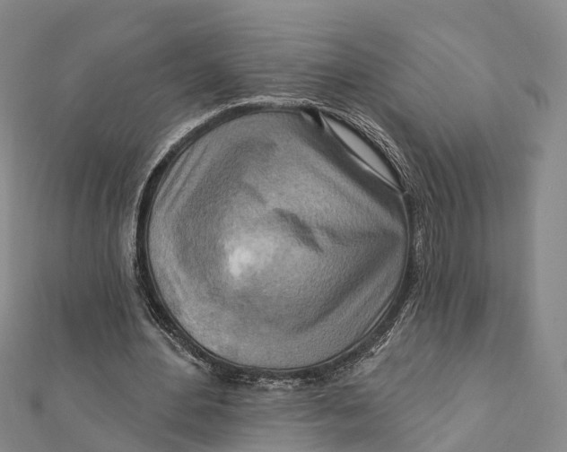 X0000112100484200909011127