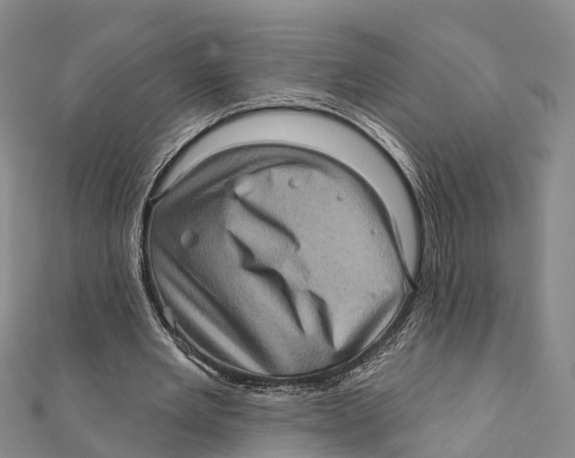 X0000112100485200909011127