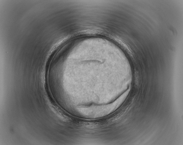 X0000112100486200909011127